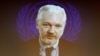 İsveç Julian Assange-ın appelyasiya vermək hüququnu tanıyıb