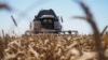«У крымского фермера отбили желание выращивать продукцию»