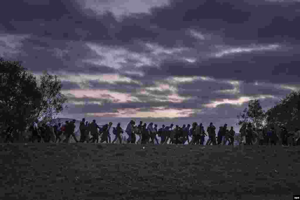 Фотография Сергея Пономарева, победителя World Press Photo в категории "Новости". Словения, беженцы в окружении полиции.