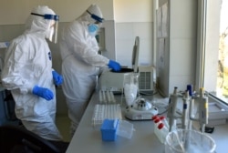 Лаборатория, в которой проводятся ПЦР-тесты на коронавирус, в сербском Нише