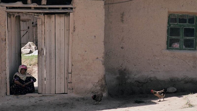Кытайлык адистер Өзбекстанга жакырчылыкты кыскартууга жардам берет
