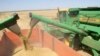 Собрав рекордный урожай, Казахстан обеспокоен падением мировых цен на зерно