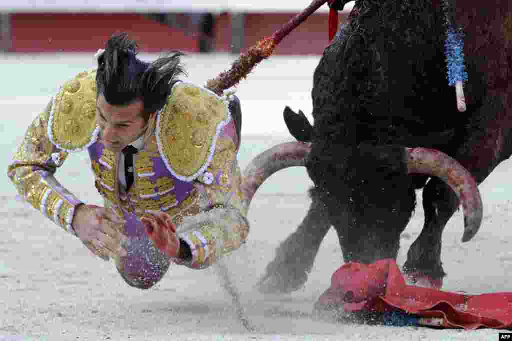 Spanish matador David Mora falls on a charge of a bull during the spring feria in Arles in southern France. (AFP/Boris Horvat)