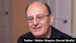 Walter Shapiro