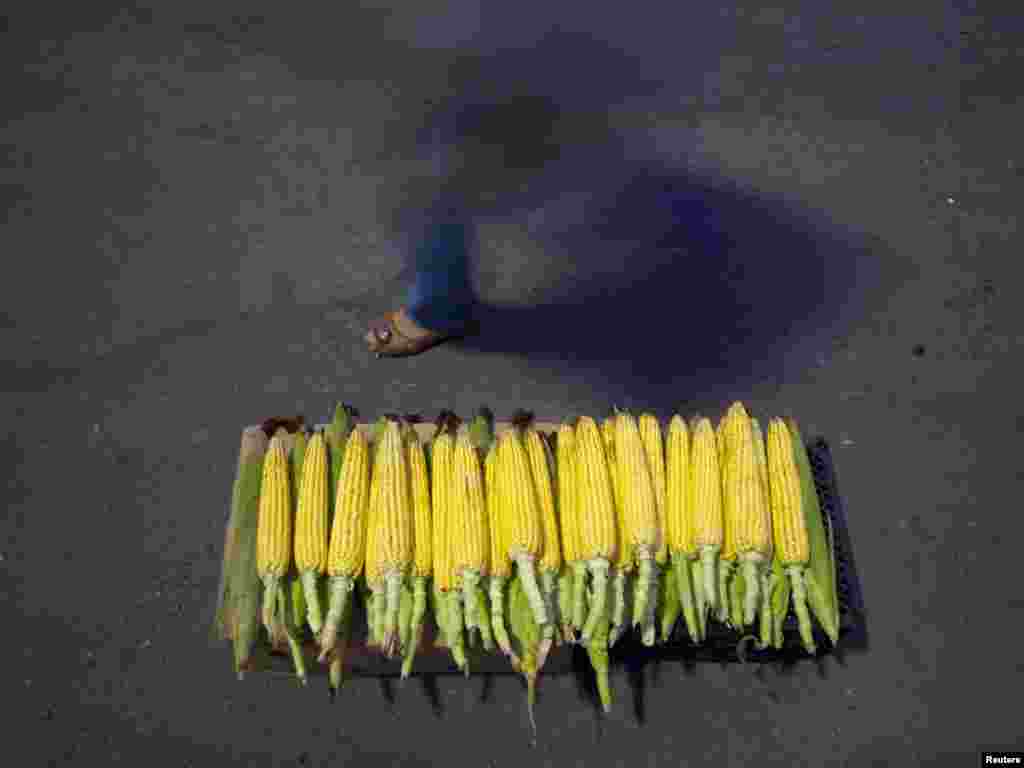 An Iranian woman walks past ears of corn as she arrives at a holy shrine to attend a mass prayer ceremony in Tehran before breaking her fast during the month of Ramadan. Muslims around the world abstain from eating, drinking, and sexual relations from sunrise to sunset during Ramadan.Photo by Morteza Nikoubazl for Reuters