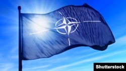 NATO countries were monitoring and assessing the situation in Ukraine very closely, according to one official, and continue to take all the necessary measures. 
