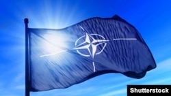 Drapelul NATO (©Shutterstock)