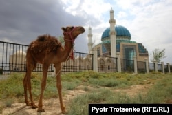 Казакстандагы Түркстан шаарында.