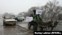Флешмоб в селе Абат Алматинской области по поводу дефицита и подорожания бензина. 8 ноября 2014 года. 