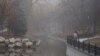 Рятувальники попередили про туман в Україні 11 грудня
