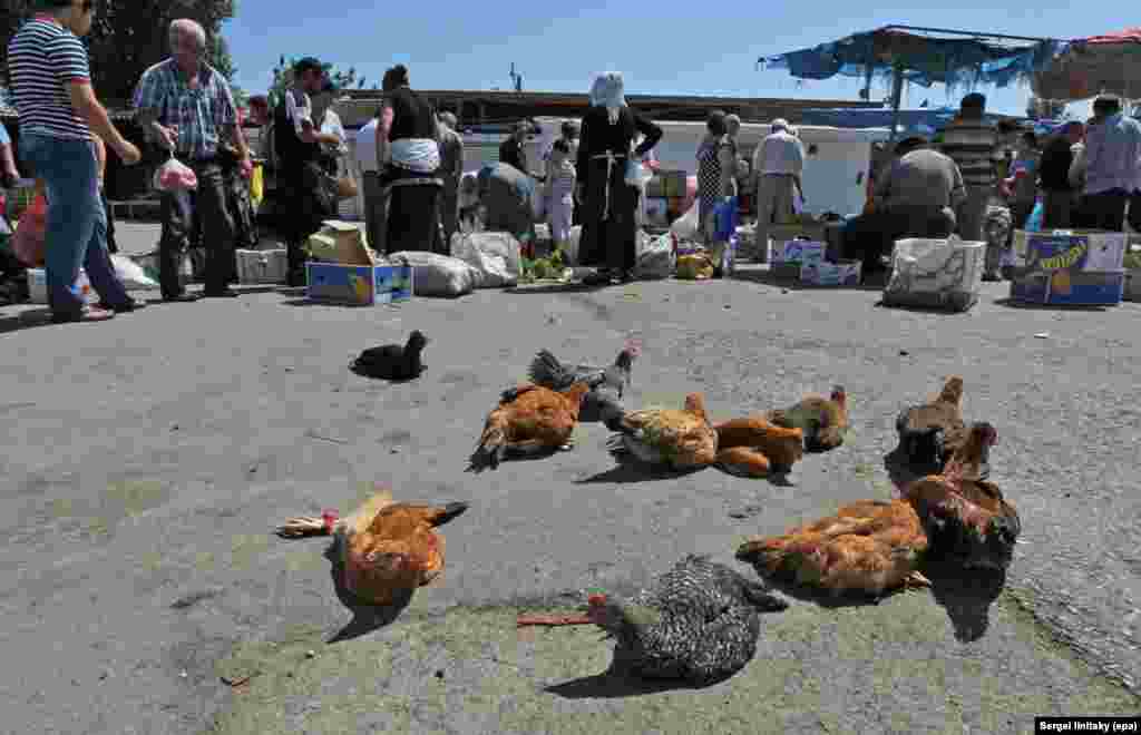 Chickens trussed up and ready for sale in the central market of Baku. As a result of the fall in oil prices the country&#39;s currency, the manat, was unpegged from the US dollar in January 2015. Since then the manat has crashed and on January 14 private currency-exchange businesses were shut by the government.&nbsp; &nbsp;