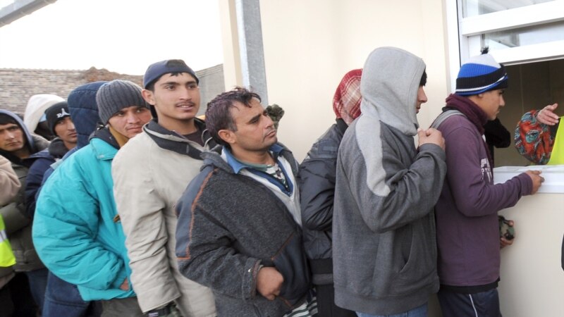 چرا پناه‌جویان افغان از پیشتازی حزب راست‌گرایان افراطی در انتخابات فرانسه نگران استند؟ 