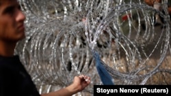 A migrant inspects a razor-wire fence at Serbia's border with Hungary in September 2015. 