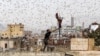 Житель столицы Йемена Саны, удерживаемой повстанцами-хуситами, пытается для пропитания ловить саранчу на крыше своего дома