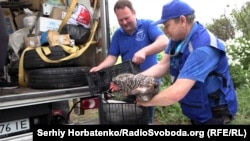 Квочок Олександра та Людмили готують до евакуації