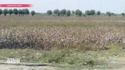 Настоящее Время. Азия – 25 октября