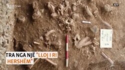 Gjendet një "lloj i ri i njeriut të hershëm"