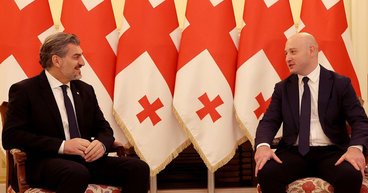 მიხეილ ყაველაშვილმა საკონსტიტუციოს მოსამართლედ გიორგი მოდებაძე დანიშნა