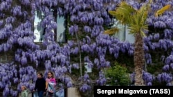 Симеиз, Форос и Голубой Залив: весенний калейдоскоп Крыма (фотогалерея)