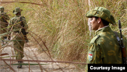 Акс аз бойгонӣ