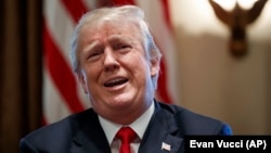 U.S. President Donald Trump speaks during a cabinet meeting at the White House on January 10.