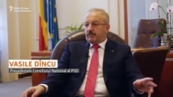 Vasile Dîncu: Electoratul PSD nu susține mișcarea LGBT