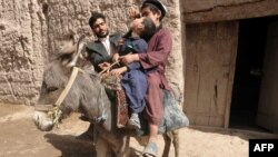 Afghanistan -- A health worker (L) administers polio vaccine to a child (C), seen sitting on a donkey, on the third day of a vaccination campaign in Herat, 27Mar2012