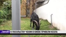 К посольству Чехии в Киеве привели козла