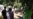 Ukrainian Villagers Say Alleged Police-Rape Case Just Tip Of Iceberg