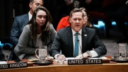 US Ambassador to the United Nations Mike Waltz speaks during a meeting of Security Council on Iran in New York City on January 15.