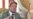 France Warns Of Possible War With Iran