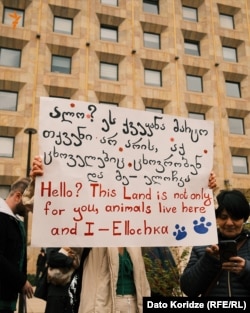 აქცია კანცელარიის წინ