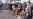 Digital Innovators Help Plan Russia Protest