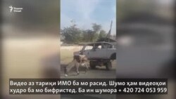 Жигулӣ - аробаи боркашии хар шуд