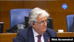 Radovan Karadzic in The Hague