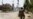 At Least 20 Killed In Syrian Clashes