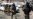 Ex-Uzbek Interrogator Denies Prisoners Tortured -- Until It's Him Being Beaten