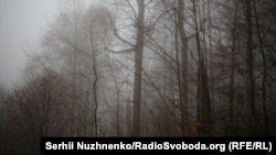 Торік у рамках такого ж проєкту в Україні було оцифровано перші шість заповідних об’єктів