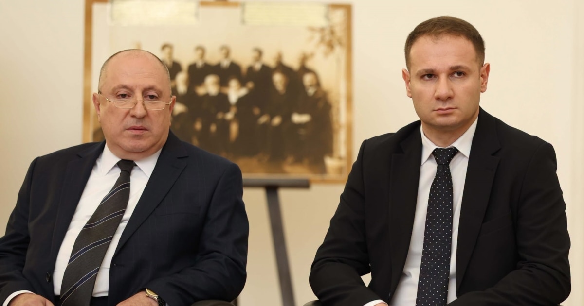 მეთოფიშვილმა და კიკილაშვილმა საკონსტიტუციო სასამართლოში მუშაობა დაიწყეს