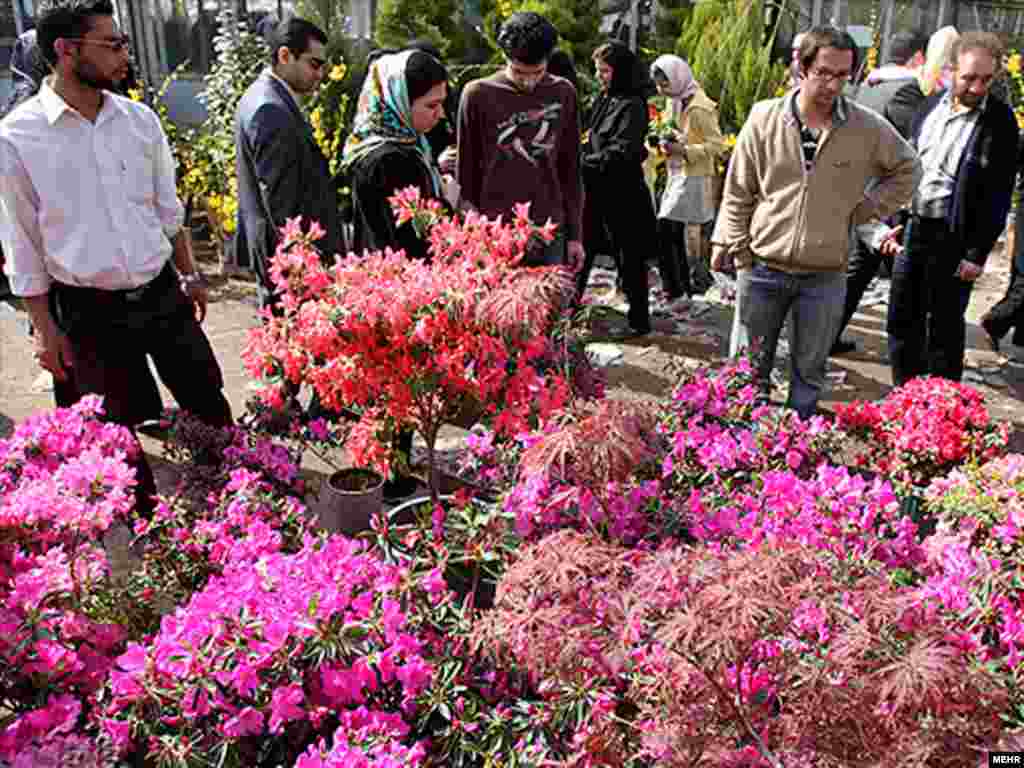 Norouz is the Persian New Year, but is also a celebration of spring - Noruz08