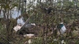 С места авиакатастрофы Ан-24 в Амурской области