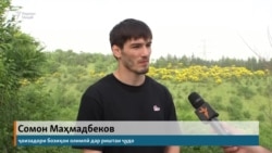 Ҷаҳонпаҳлавон Сомон