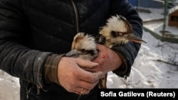 Fotogalerie | Rusia a atacat o grădină zoologică din Harkov în prima zi din 2026