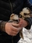 Two Kookaburra, a bird species native to Australia, being evacuated from a bomb-damaged aviary in the Feldman Ecopark. The private zoo near Kharkiv was hit by a Russian glide bomb on January 1. <br>