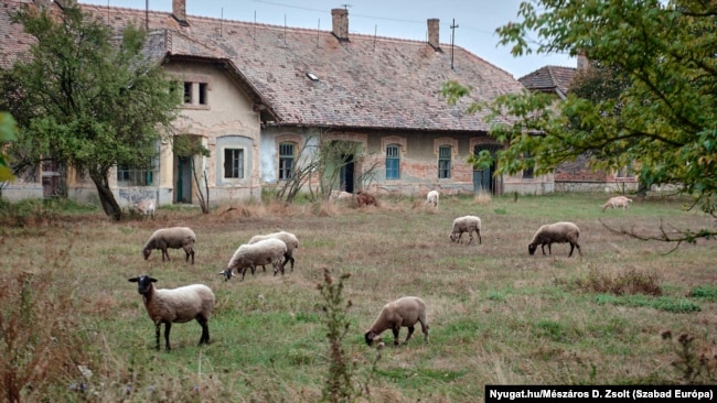 Helyi információk szerint menekülttábort alakítanak ki a csermajori tejipari szakközépiskola területén