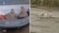 Pamje të shkëputura nga një video tregojnë roje kufitare ukrainase në një varkë, në anën moldaviane të lumit Dniestër, dhe një burrë ukrainas në ujë pranë tyre, më 15 tetor. 