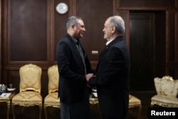 Iranian President Masud Pezeshkian meets with Pakistan's Interior Minister Mohsin Naqvi in Tehran on May 17.