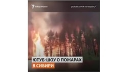 Известная ведущая сняла фильм о том, кто и как спасет сибирские леса от пожара