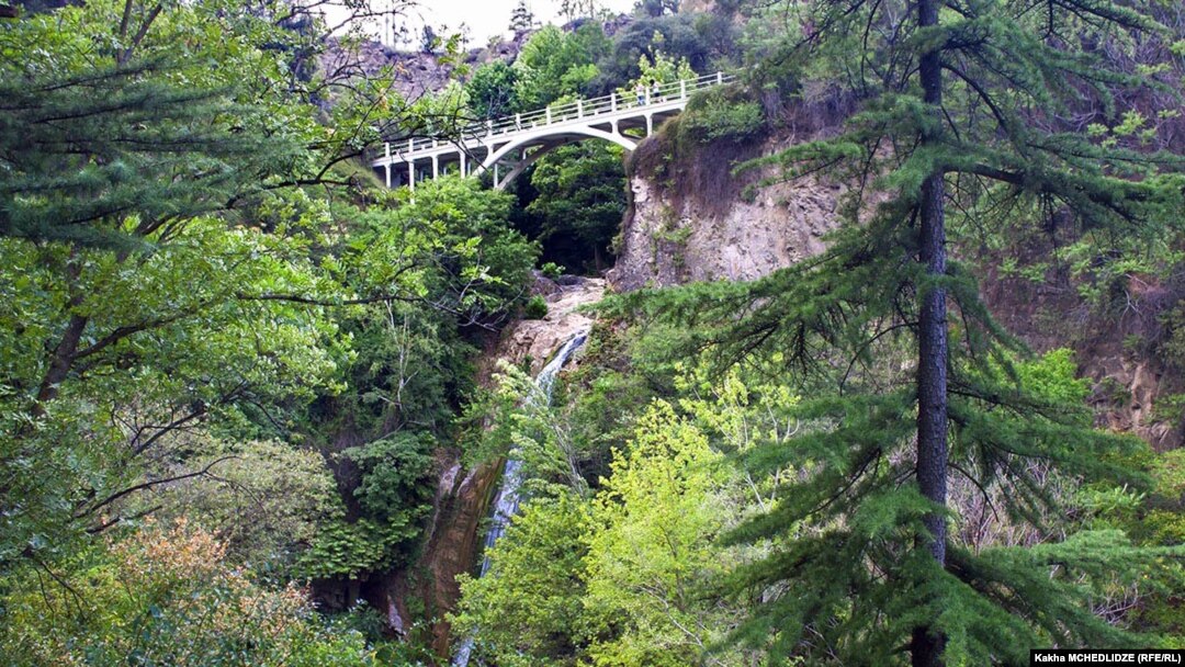 Сегодня утром представители бывшей правящей партии провели не совсем обычный брифинг: они собрали журналистов в тбилисском Ботаническом саду