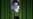 Reformists Cling To Islamic Republic Ideal As Khamenei Sounds The Death Knell